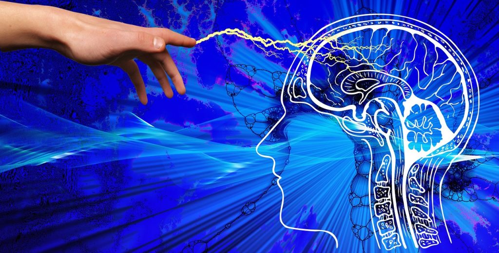 BSV Neuro Gruppe / 14h